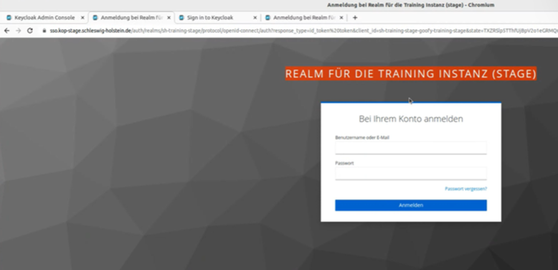 Screenshot der Trainingsinstanz